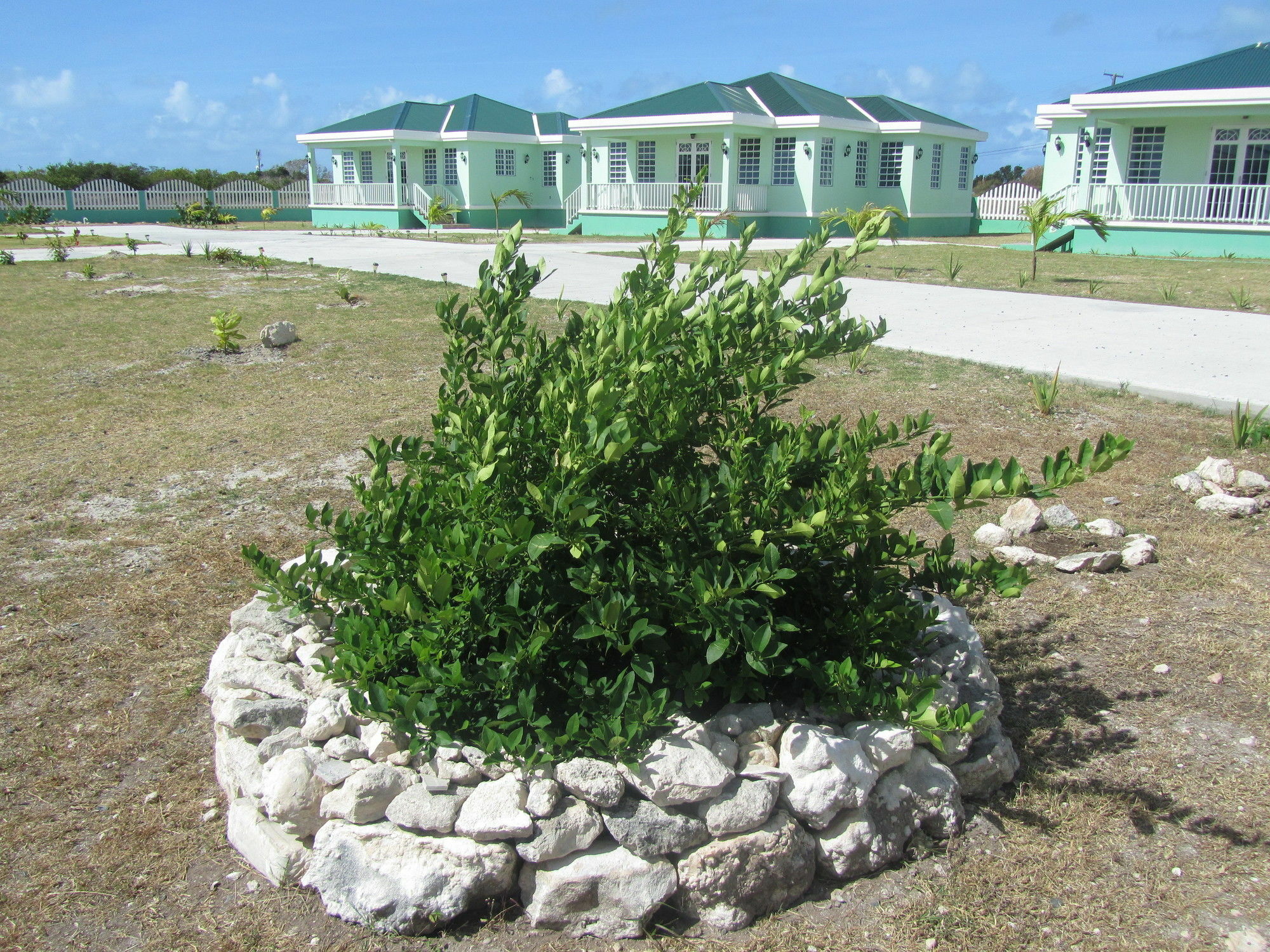 Sea Grape Villas The Settlement Екстер'єр фото